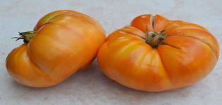 Description of tomato variety Summer cider, cultivation and care