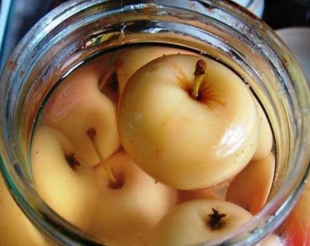 Mga nangungunang 2 mga recipe para sa paggawa ng apple compote na may kanela para sa taglamig