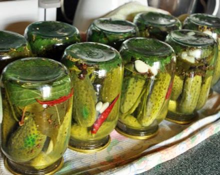 6 best recipes for crispy pickles without vinegar