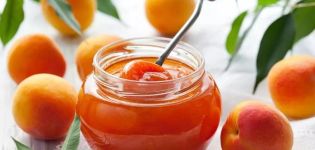 La recette de la confiture d'abricots dénoyautés cinq minutes pour l'hiver