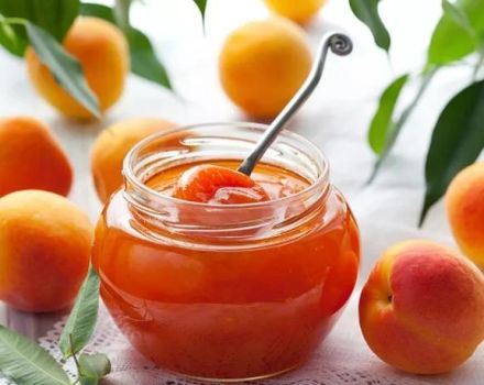 The recipe for pitted apricot five-minute jam for the winter