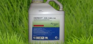 Instructions pour l'utilisation de l'herbicide Select, composition et forme de libération