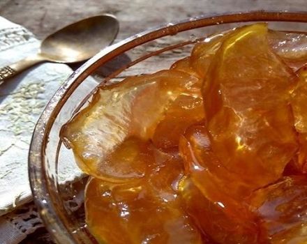 Step-by-step recipe for transparent jam from Antonovka slices