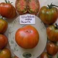 Description of the tomato variety Everett's rusty heart and its characteristics