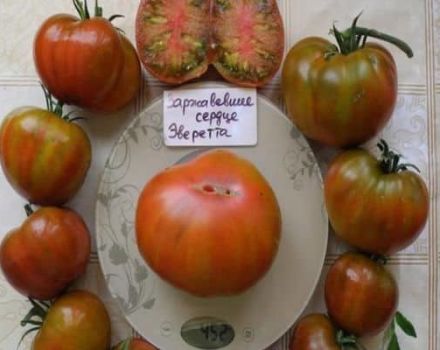 Description du cœur rouillé de la variété de tomate Everett et ses caractéristiques