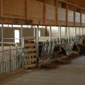 Project and drawings of a cowshed for 10 heads, how to build a farm with your own hands