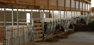 Project and drawings of a cowshed for 10 heads, how to build a farm with your own hands