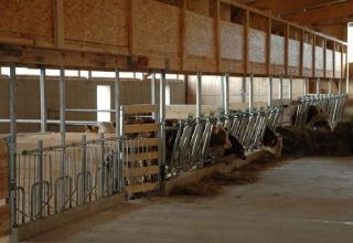 Project en tekeningen van een koeienstal voor 10 hoofden, hoe je een boerderij met je eigen handen kunt bouwen