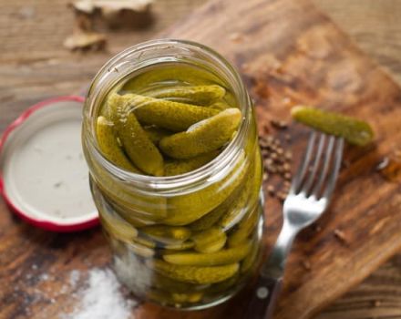 Cómo preparar pepinos en escabeche con semillas de mostaza y cúrcuma para el invierno y las reglas de almacenamiento.