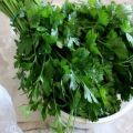 How to properly preserve parsley for the winter at home