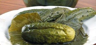 A simple recipe for pickling cucumbers in grape leaves for the winter