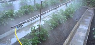 Do-it-yourself automatic greenhouse watering system