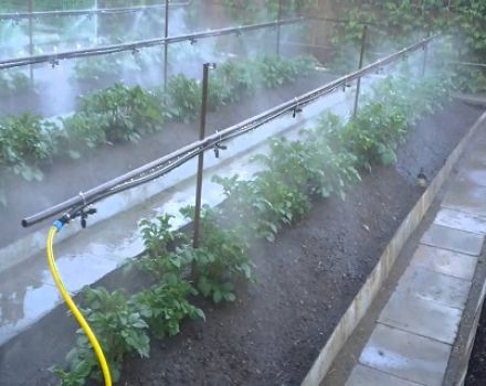 Do-it-yourself automatic greenhouse watering system