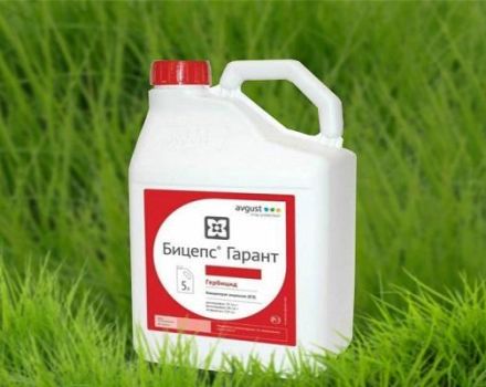 Instructions for the use of the herbicide Biceps Garant, consumption rates and analogues