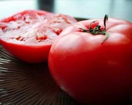 Ciri dan keterangan mengenai varieti tomato Katya, hasilnya