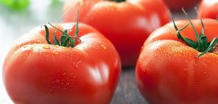 Characteristics and description of the tomato variety Strawberry Dessert, its yield