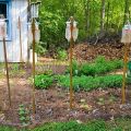 Paano gumawa ng isang do-it-yourself na patubig system para sa mga pipino sa isang greenhouse at bukas na patlang