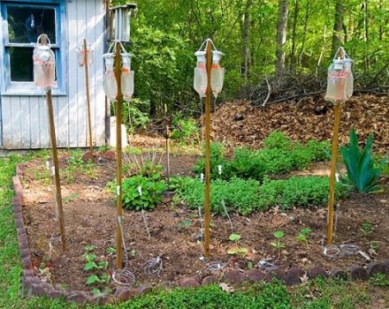 Cara membuat sistem pengairan titisan do-it-yourself untuk timun di rumah hijau dan ladang terbuka