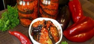 TOP 10 des meilleures recettes étape par étape pour préparer la langue de la belle-mère à partir d'aubergine pour l'hiver