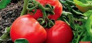 Description of the Igranda tomato variety and its characteristics