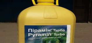 Instructions pour l'utilisation de l'herbicide Pyramine Turbo, comment préparer une solution de travail