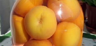 Recipes for making peach compotes without sterilization for the winter