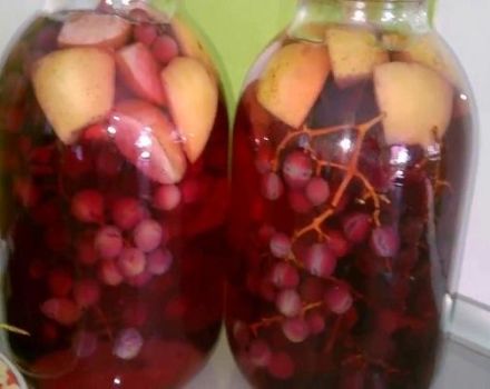 TOP 10 recipes for making multifruit compote for the winter