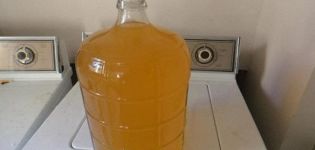 9 simple recipes for making sea buckthorn wine at home