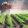 Mga tagubilin para sa paggamit at spectrum ng pagkilos ng mga herbicides, varieties at paglalarawan ng pinakamahusay