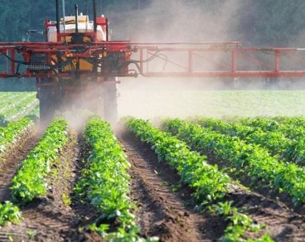 Mode d'emploi et spectre d'action des herbicides, variétés et description des meilleurs