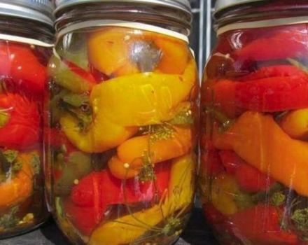 La mejor receta paso a paso de pimientos enteros en escabeche para el invierno