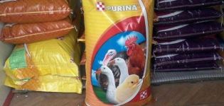 Peraturan untuk memberi makan makanan kompaun Purina untuk ayam pedaging