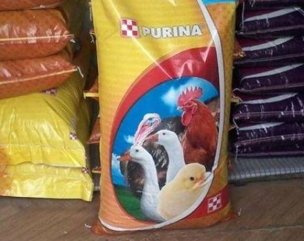 Pravidla pro krmení krmné směsi Purina pro kuřata brojlerů