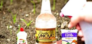 TOP 5 highly effective recipes for preparing weed remedies with vinegar, rules for destruction