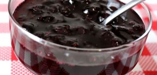 TOP 3 des recettes pour faire de la confiture de cassis sans sucre pour l'hiver