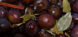 TOP 3 recipes for plums with ginger, lemon and cinnamon for the winter