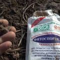 Instrucciones para usar el fertilizante Fitosporin en el jardín.