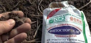 Instructions for using the fertilizer Fitosporin in the garden