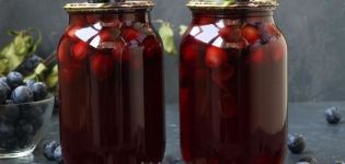 TOP 7 recipes for preparing thorn compote with seeds for the winter