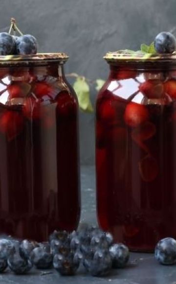 TOP 7 recipes for making thorn compote with seeds for the winter