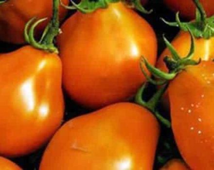 Description de la variété de tomate Orange Poire, ses caractéristiques et sa productivité