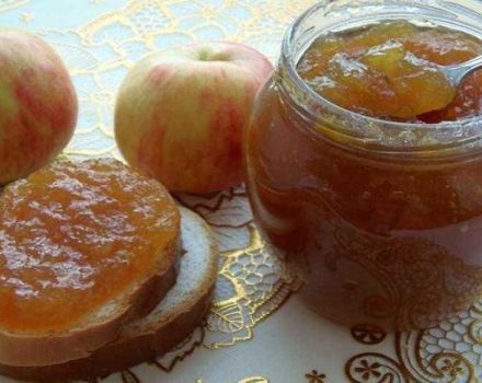 A step-by-step recipe for making apple jam with cinnamon for the winter