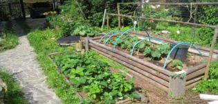 How to make a warm garden for cucumbers with your own hands