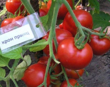 Description de la variété de tomates Cron Prince et de ses caractéristiques