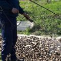 Moyens de transformation des pommes de terre et règles de procédure