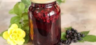 Jednoduchý recept na výrobu blackberry kompot na zimu