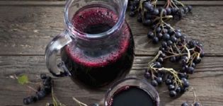 19 recettes simples pour faire de la compote d'aronia pour l'hiver