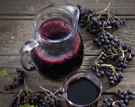 19 recettes simples pour faire de la compote d'aronia pour l'hiver