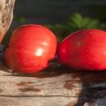 Description of the tomato variety Handsome meaty and its characteristics