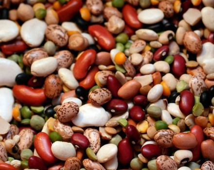 Quels grains sont meilleurs et plus sains que le blanc ou le rouge, en quoi diffèrent-ils